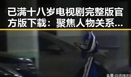 已满十八岁电视剧完整版官方版下载：聚焦人物关系与剧情变化