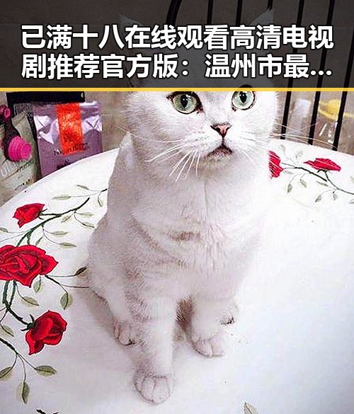 已满十八在线观看高清电视剧推荐官方版:温州市最新动态解析