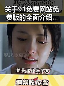 关于91免费网站免费版的全面介绍与使用指南