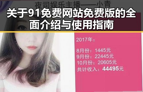 关于91免费网站免费版的全面介绍与使用指南