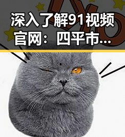 深入了解91视频官网：四平市地区的主要视频平台